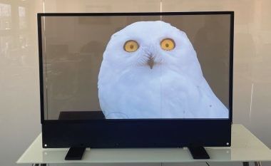 تخصيص شاشة OLED شفافة رقيقة للغاية للإعلان الداخلي